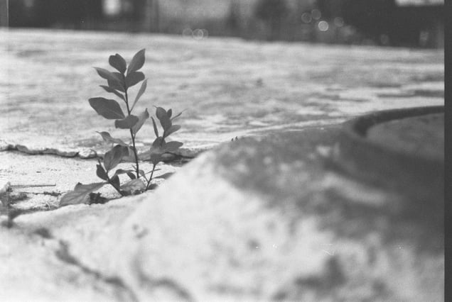 Grained City #13