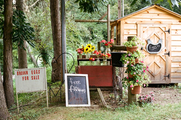 Yellowwood Farm Stand, 2025.