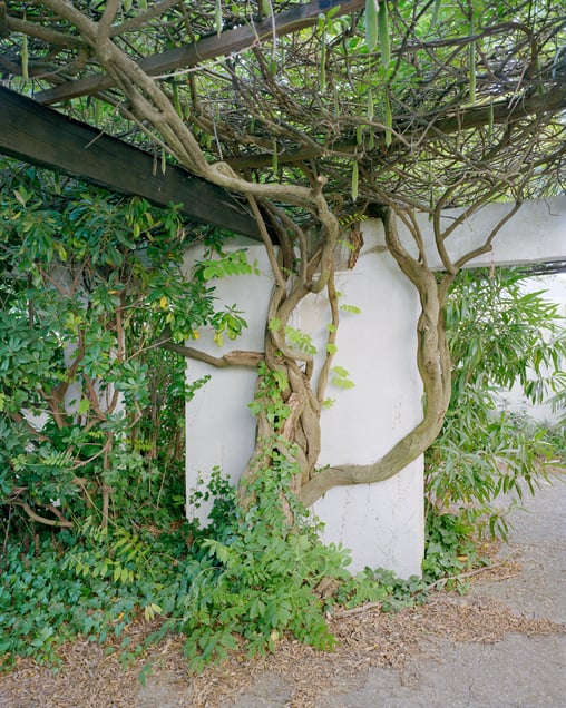 Arbre – Villas Plein Soleil Quartier du Point Zéro de La Grande Motte – 2020
Architect - Jean Balladur