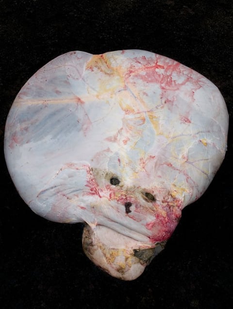 From the series "Meat Portraits" © Alex Van Gelder