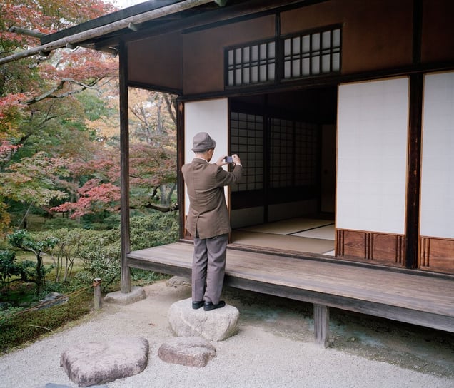 Leaf Peeper © Tim Bowditch