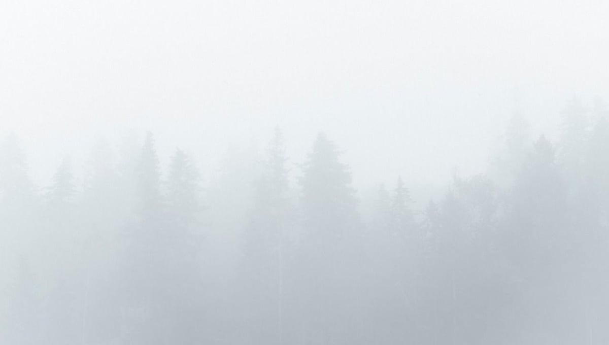 Silence Before the Echo