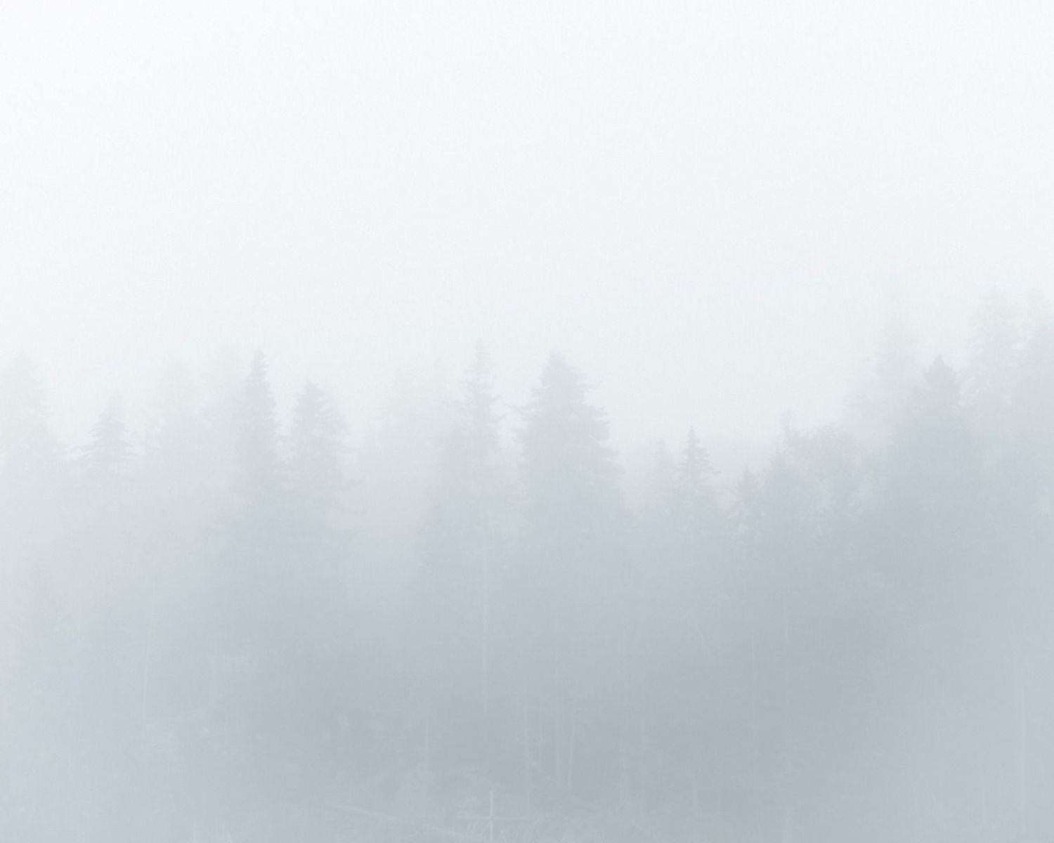 Pine Tree Ballads