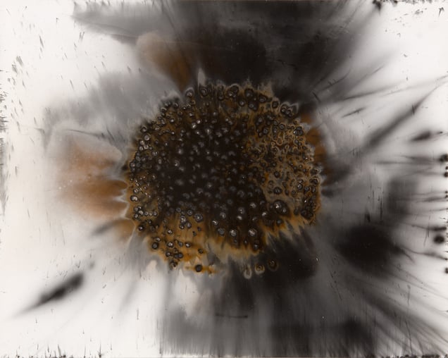 Untitled Work of Fire .032 8x10 Unique gunpowder generated gelatin silver print.