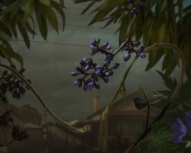 Residential  Embankment