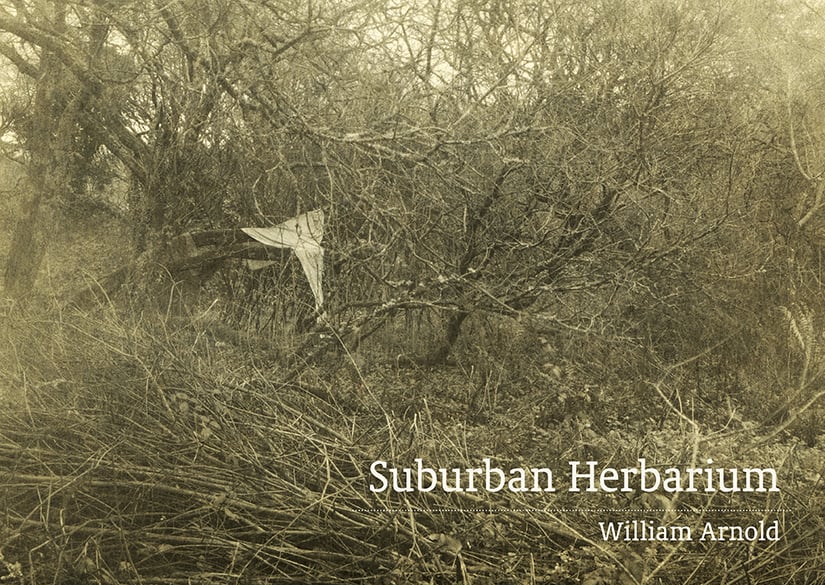 Suburban Herbarium 