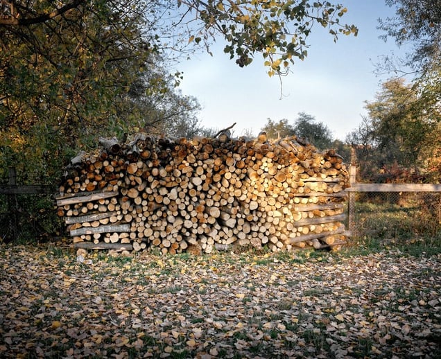 From the series "Petite robe de fete" © Delphine Schacher