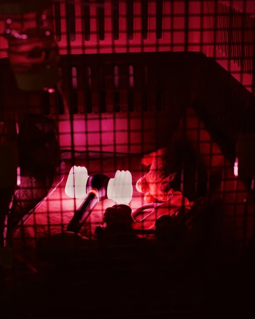 Lightstick