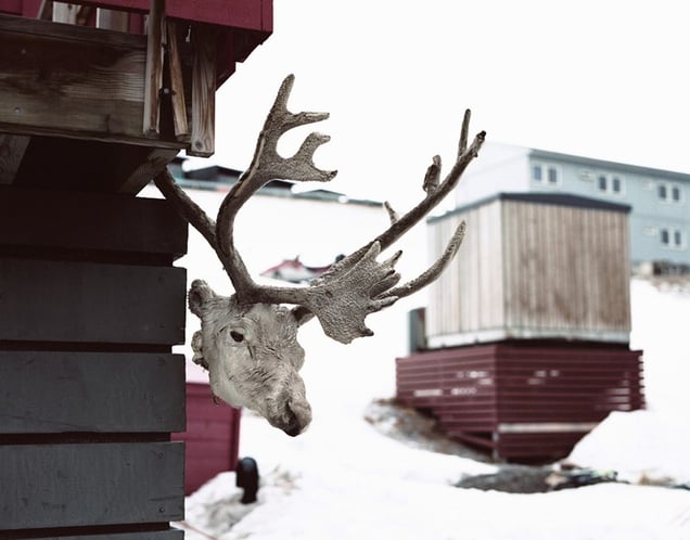 Longyearbyen Trophy