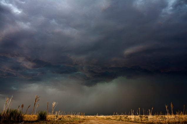 Looking for Rotation (H) - Kansas, USA, May 2008