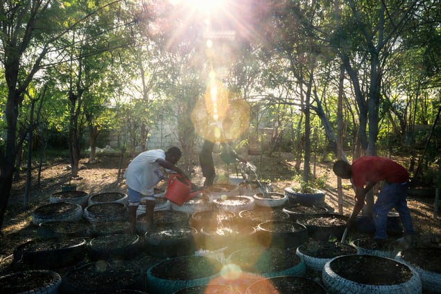 Among the ruins of Cité Soleil, which has always been considered one of the most dangerous slums in the Western hemisphere, a glimmer of hope shines through. At Jardin TapTap, a community vegetable garden, over 100 locals work together as volunteers, and anyone in need has free access to the crops grown.