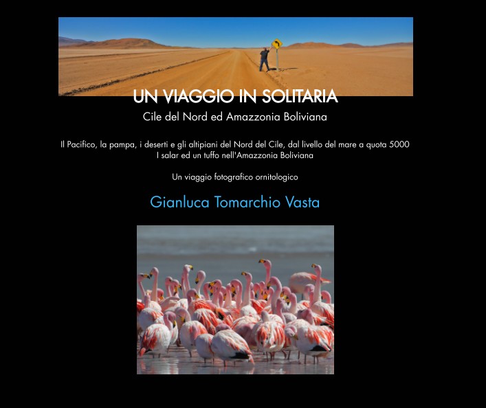 Un viaggio in solitaria