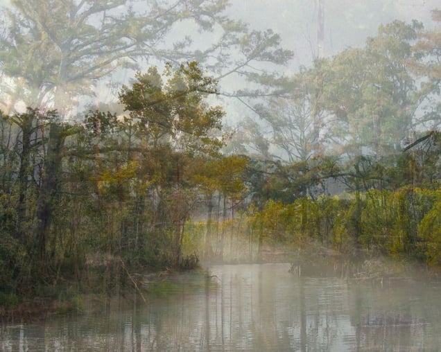 Three Years out of a Death Row Sentence (River) © Amy Elkins