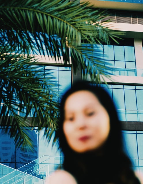 Reverie, XLIX (2019): Mirage