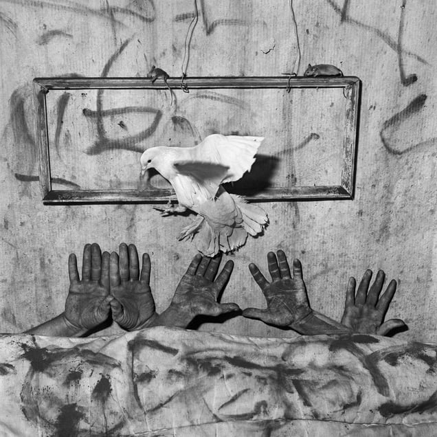 Five hands. From the series "Asylum of the Birds" © Roger Ballen