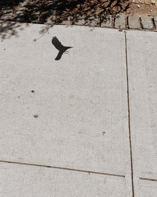 Perch