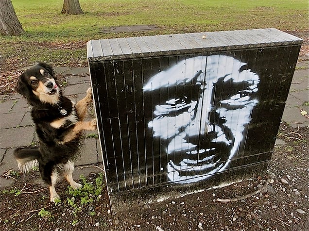 "DADALYTICAL DEADLY DOGNESS"