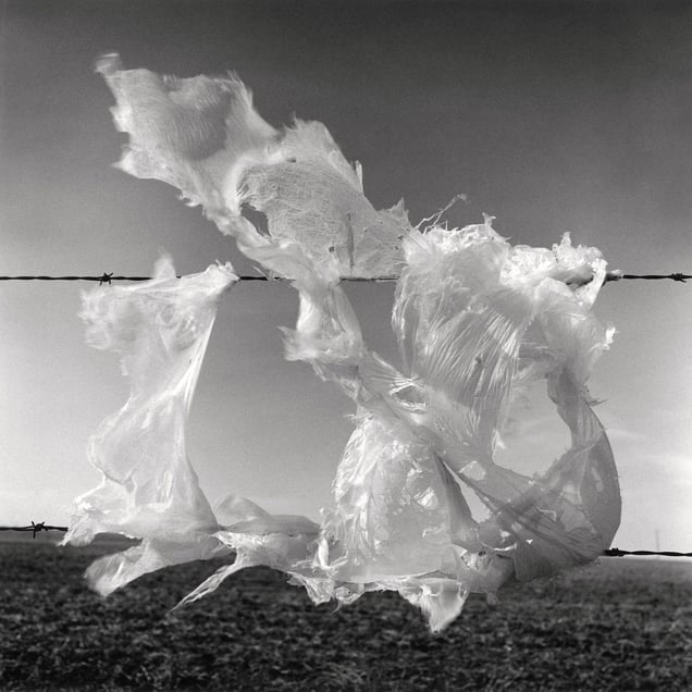 Snag #1 - Highway 41A, Veinerville, AB, Canada