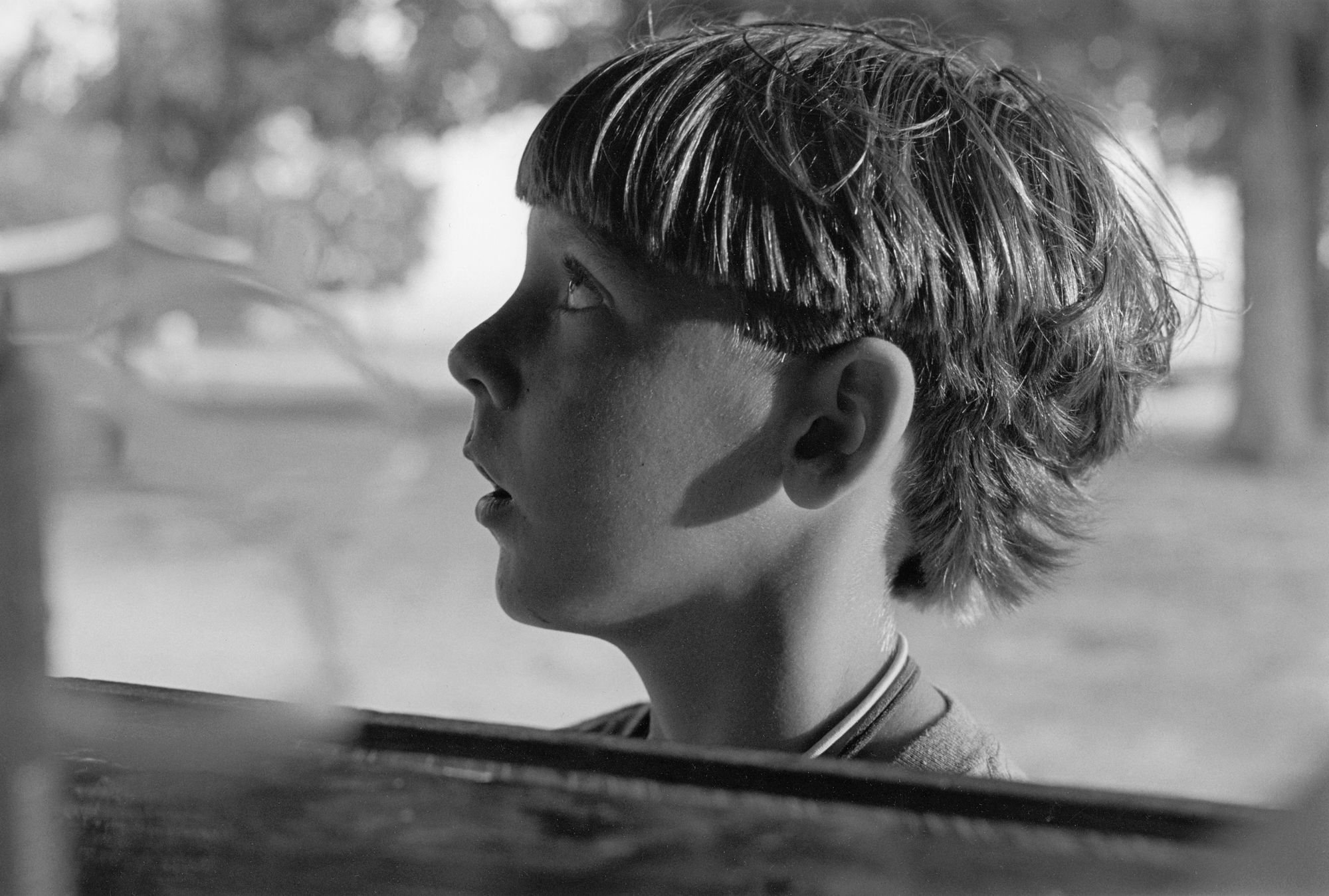 アート・デザイン・音楽 Summer Camp Mark Steinmetz アート・デザイン・音楽 Summer Camp Mark Steinmetz アート