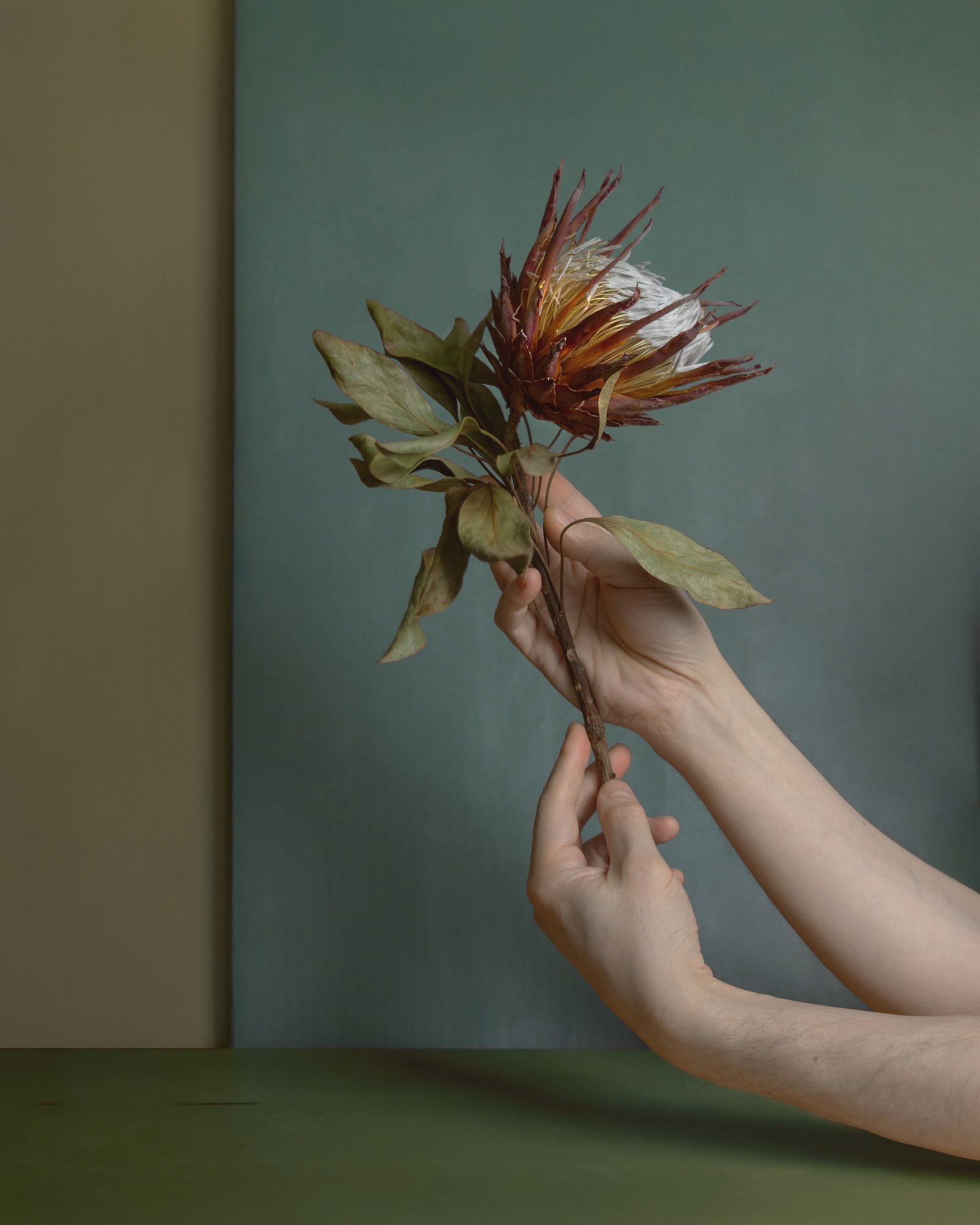 Dry Flower