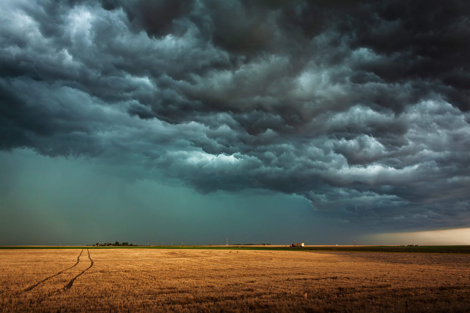 Tracks through the Field, Kansas, USA, May 2008 © Camille Seaman