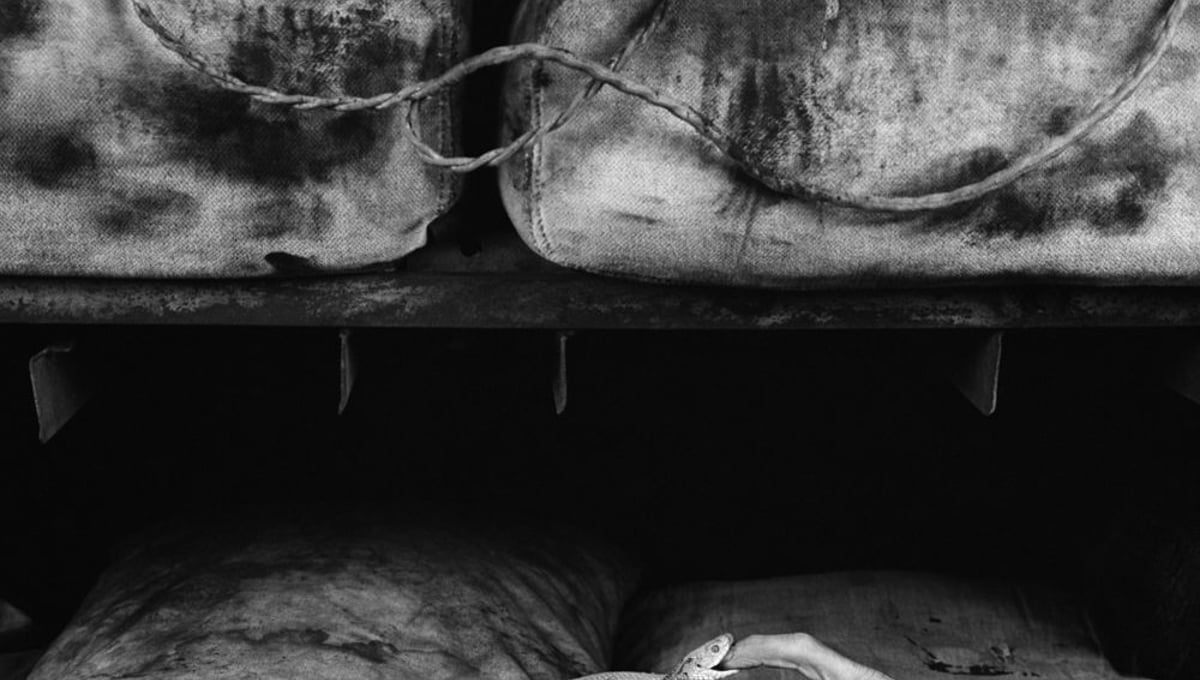 Bite © Roger Ballen