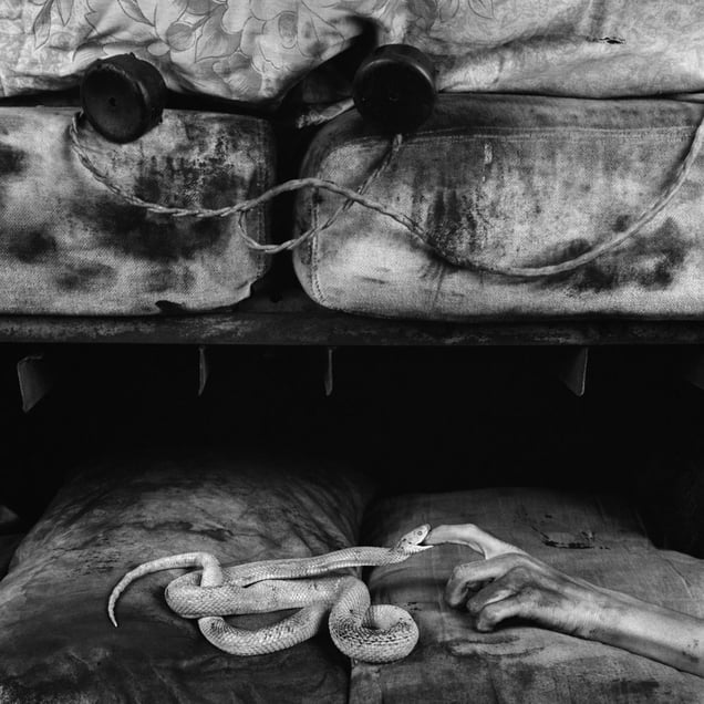 Bite © Roger Ballen