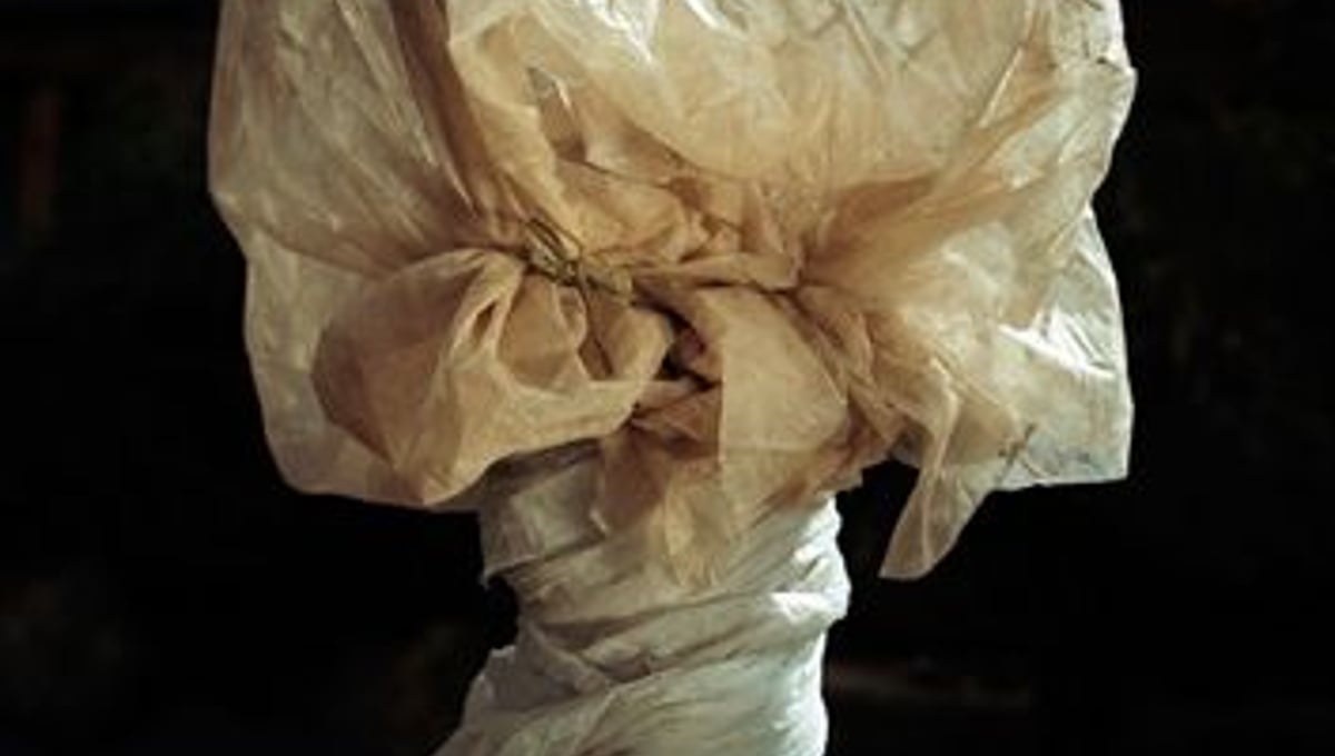 From the series Covered, 2009 © Peter Ainsworth