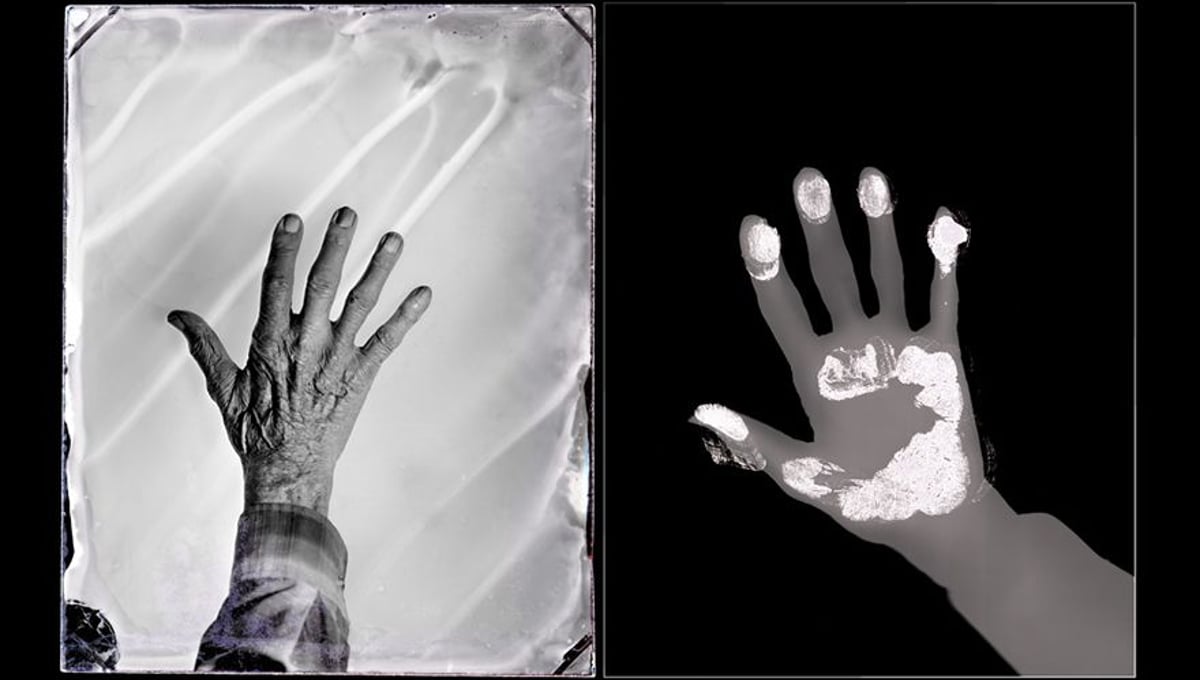From the series The Manual Project, The Personalities of Hands © Bill Westheimer