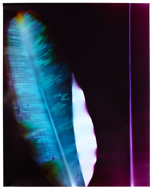 Eclipse #2. Unique chromogenic photogram. 40x32 inches, 2014