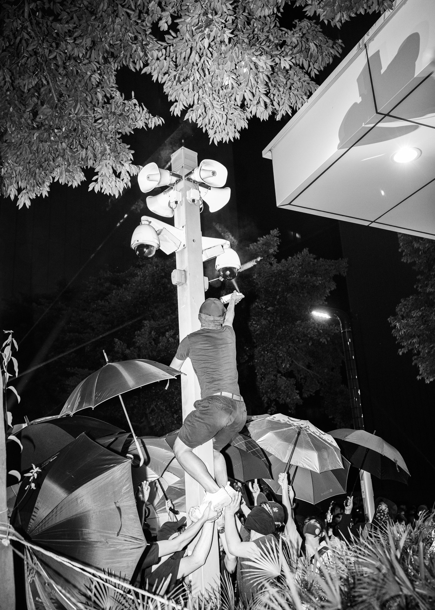 Photo © Todd R. Darling, courtesy of Hamburger Eyes