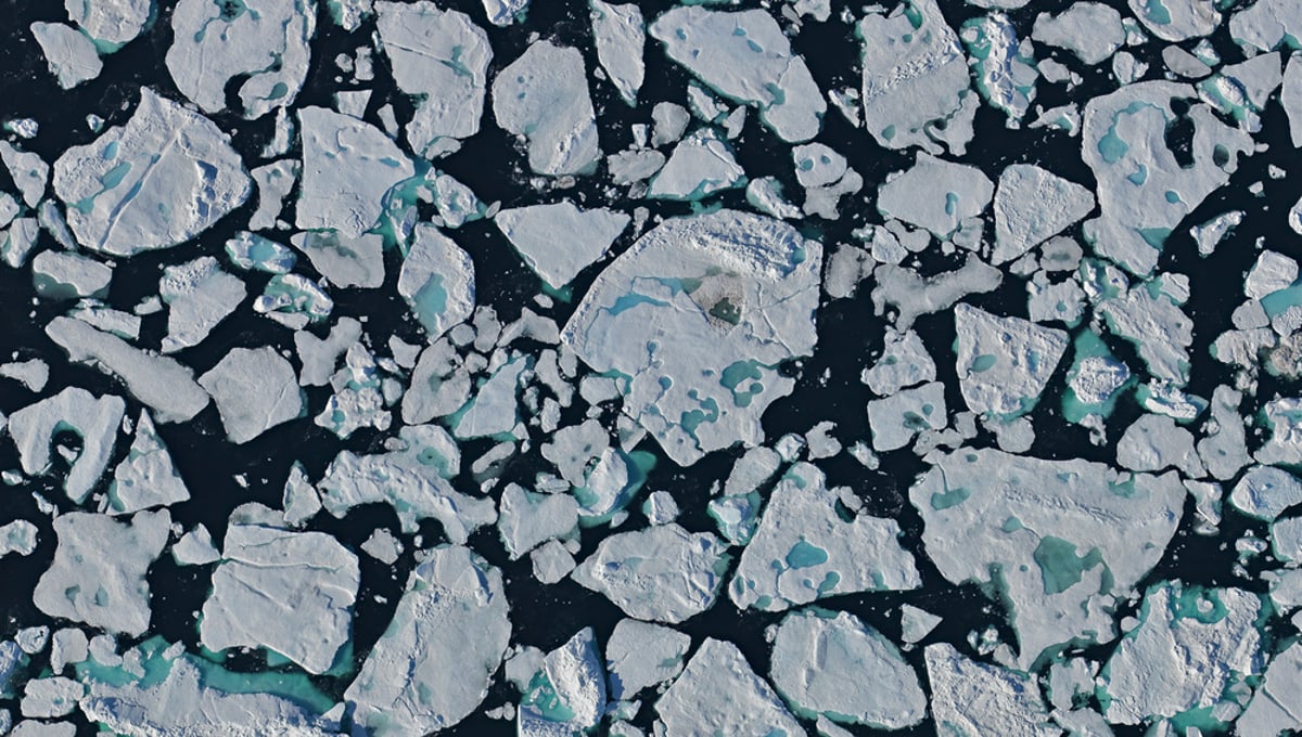 Sea Ice, Liverpooland, East Greenland. In summer, the thick ice sheet covering Greenland’s sea in winter, gradually breaks up. Tightly packed ice floes drift in the sea. The sunlight which is reflected by the ice below the water surface makes the shimmering ice islands glow turquoise blue.