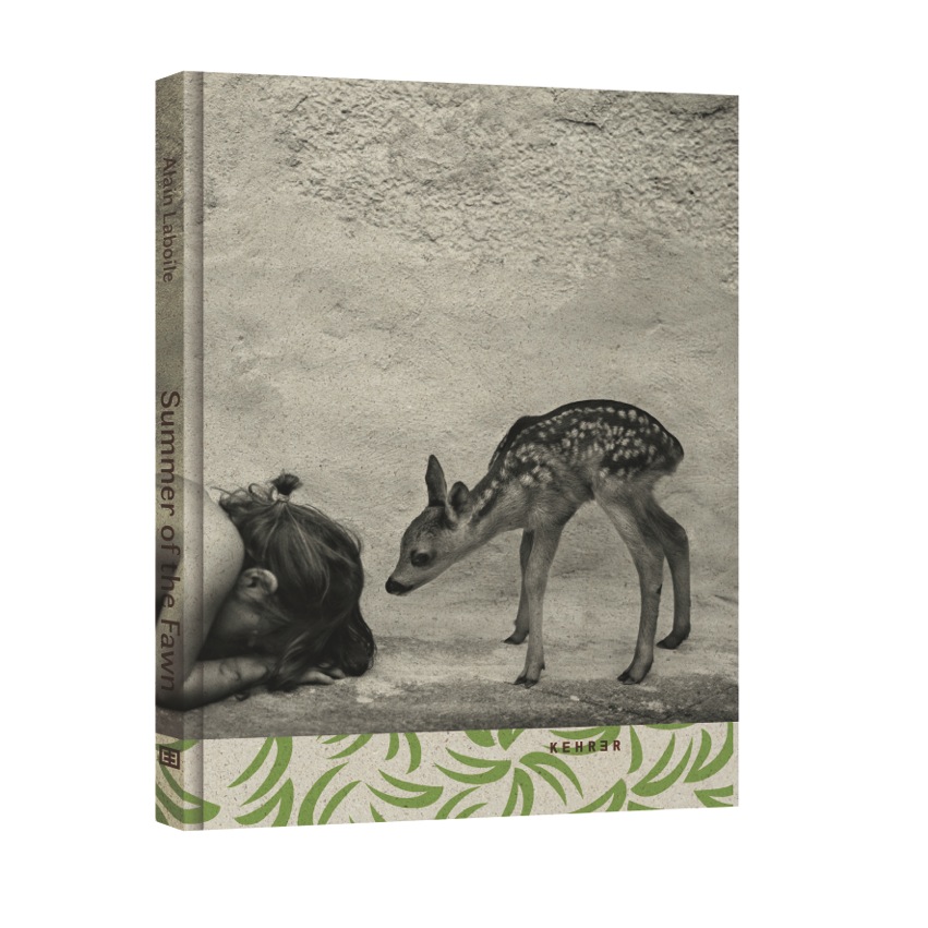 Summer of the fawn
