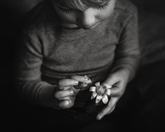 Mending the Daisy