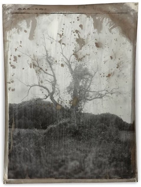 Special Project 30, 2010, Silver Gelatin Print, 81 x 61 cm © Jeff Cowen