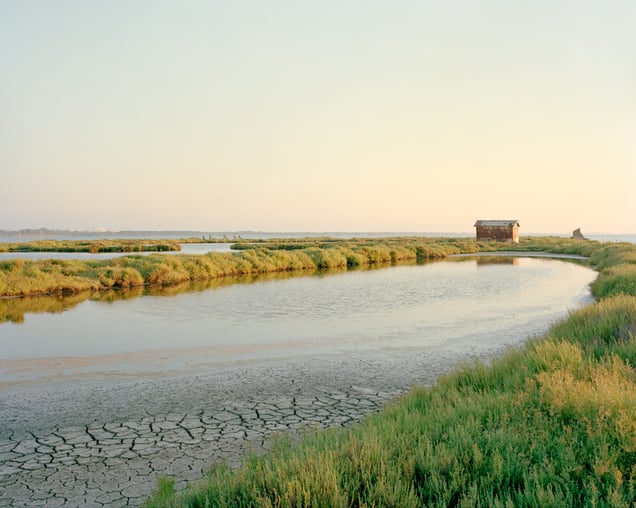 Pointe de la Radelle – Marsillargues – 2022