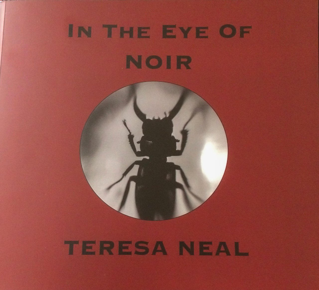 In The Eye Of Noir