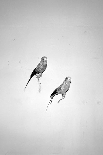 From the exhibition "Supernatural," held during the opening week of Les Rencontres d'Arles, July 3-9, 2017.