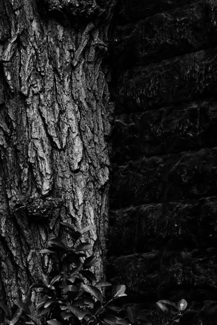 Textures