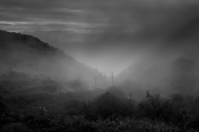 Tranquillity, and Fog