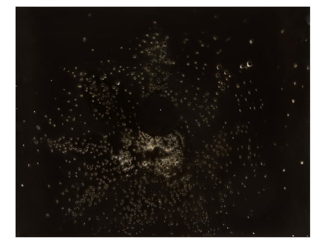 Untitled Work of Fire .028 Unique gunpowder generated gelatin silver print.