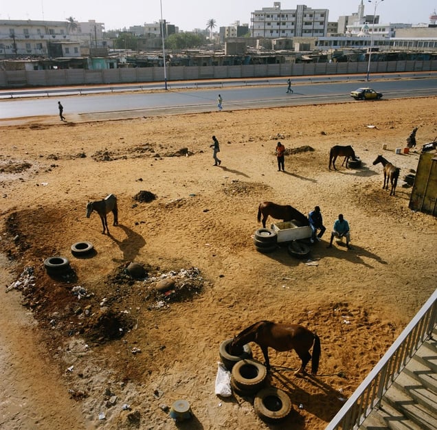 From the series "En Route to Dakar" © Mimi Mollica