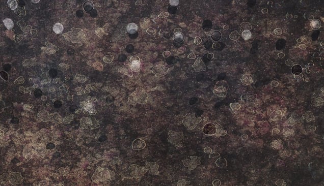 Detail at full size © Thomas Brummett