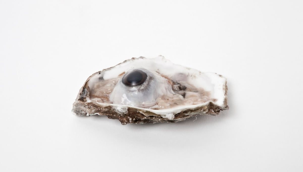 Oyster, 2011 © Marlous van der Sloot
