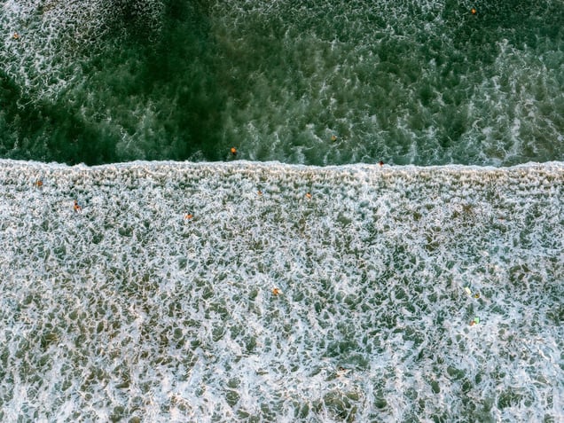 Venice Beach Bathers