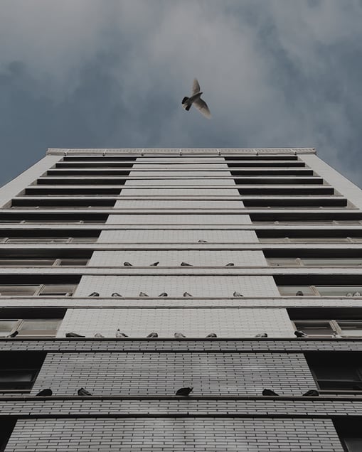 Flying High