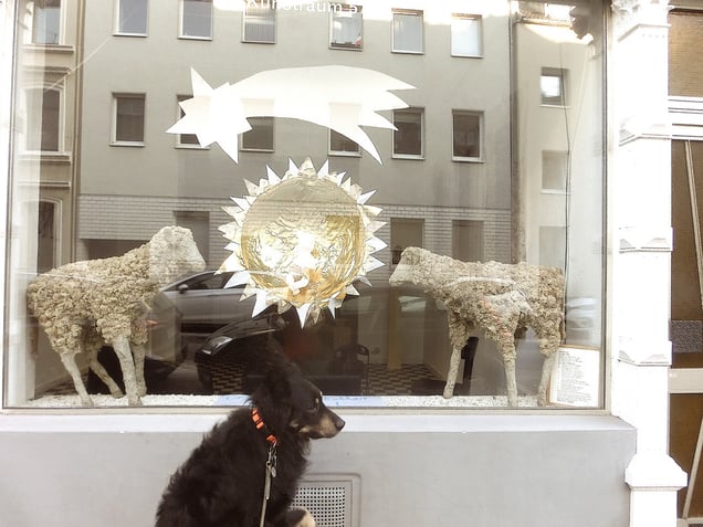 "BEAUTIFUL ANIMAL AUTO-ICONS" or "STUFFED ANIMAL SPIRIT IN THE SUFFERING SURREAL DADA SKY"