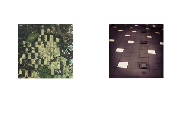 Earth Herbarium, Part II © Evgeny Molodtsov