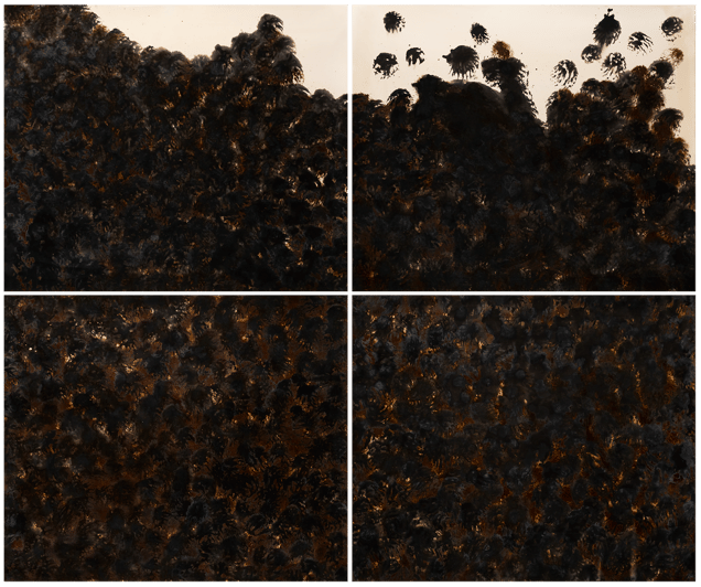 Moment of Hope, Quadtych