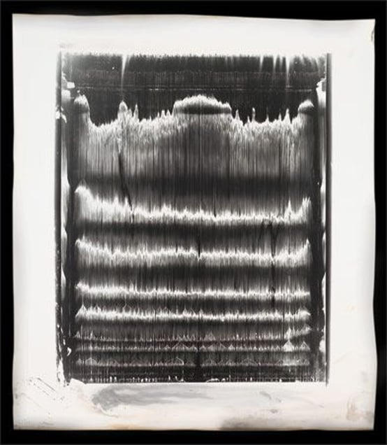 Lotus-Eaters 1, 127 x 17 0cm, 2006 © Jeff Cowen